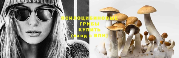 соль ск Горно-Алтайск
