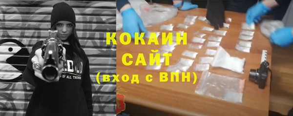 соль ск Горно-Алтайск