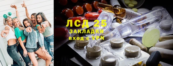 гидропоника Горнозаводск