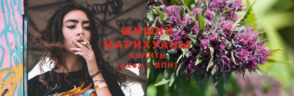 соль ск Горно-Алтайск