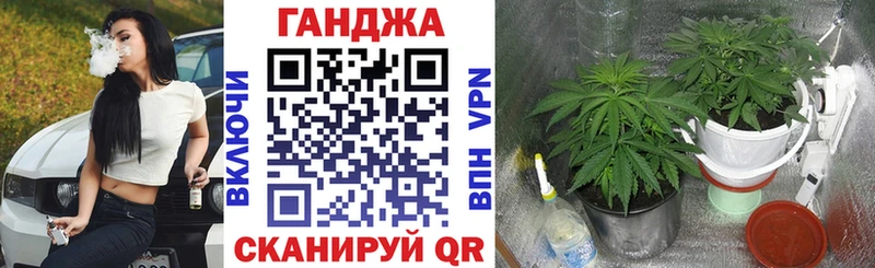 хочу наркоту  Грайворон  Конопля VHQ 
